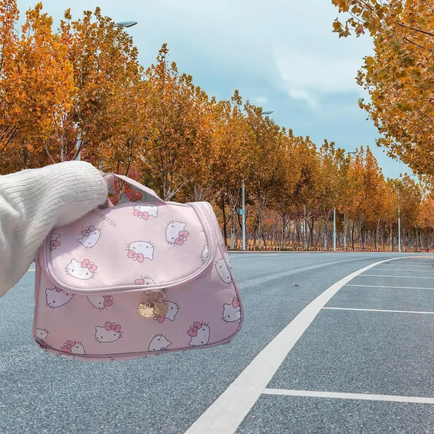 Cute Makeup Bag for Women  Cosmetic Organizer, Travel Toiletry Bag, Large Capacity Packing Cube, Waterproof & Durable, Portable for Daily & Travel Use (pink)